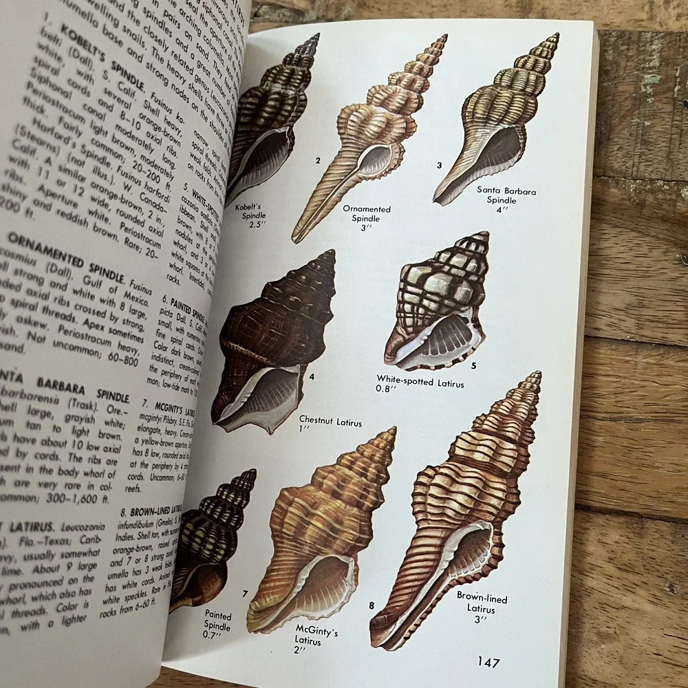 A Guide To Identification North America Seashells & Trees Set of 2 Hardcover